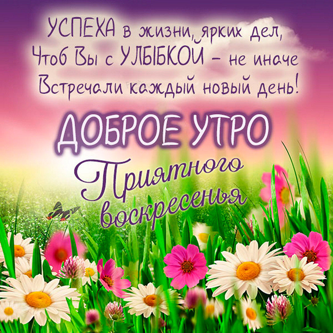 Хостинг картинок yapx.ru