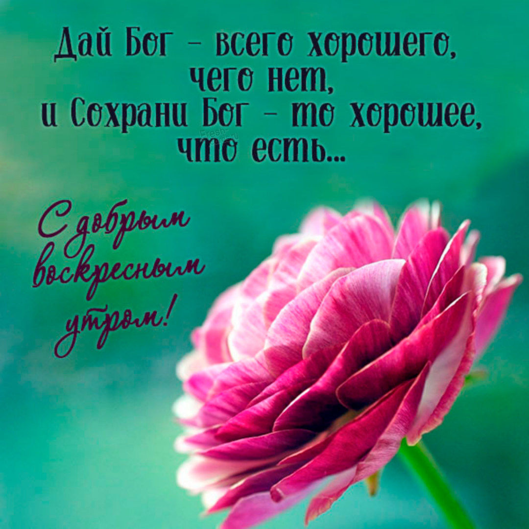 Хостинг картинок yapx.ru