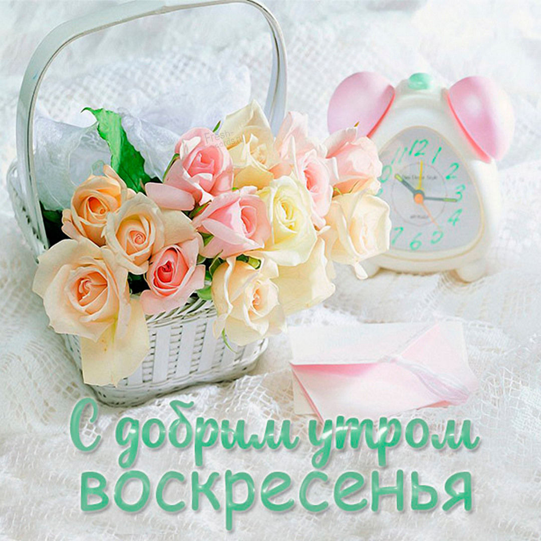 Хостинг картинок yapx.ru