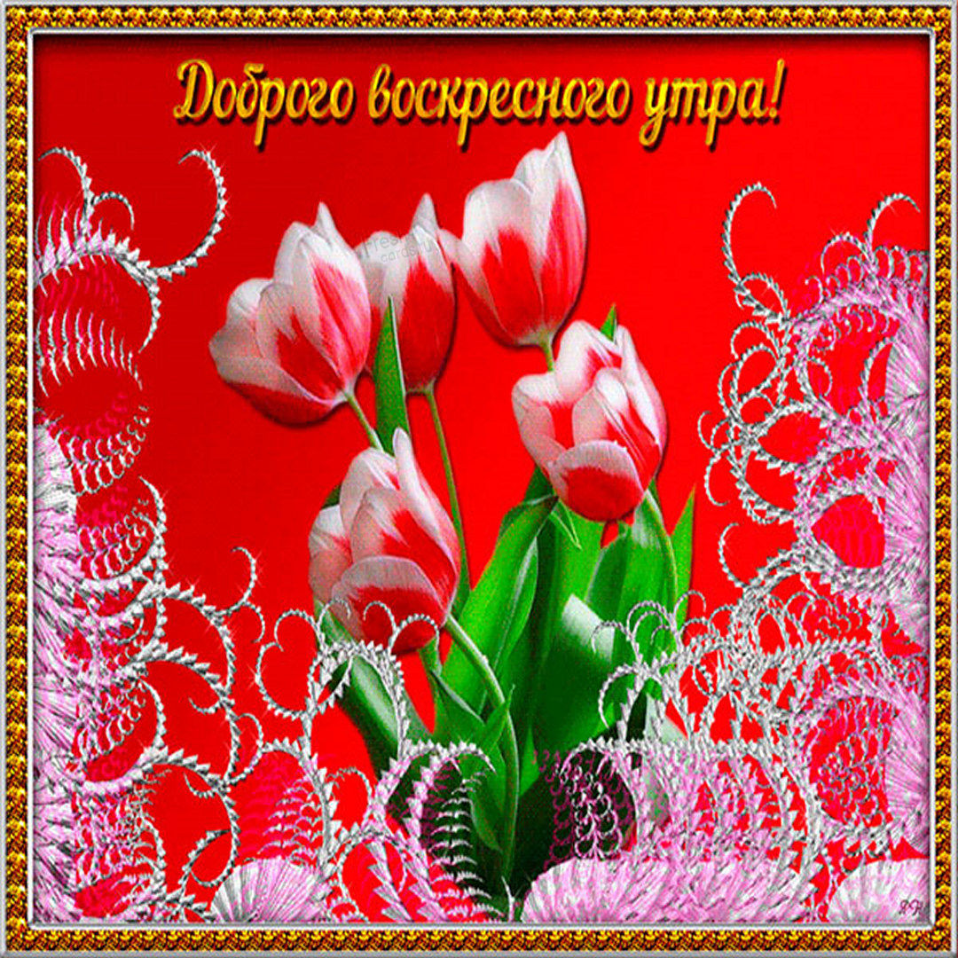 Хостинг картинок yapx.ru