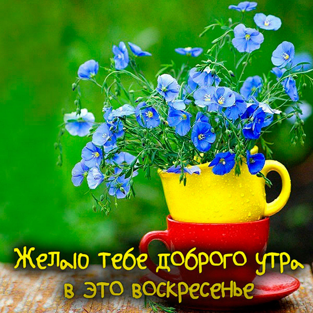 Хостинг картинок yapx.ru