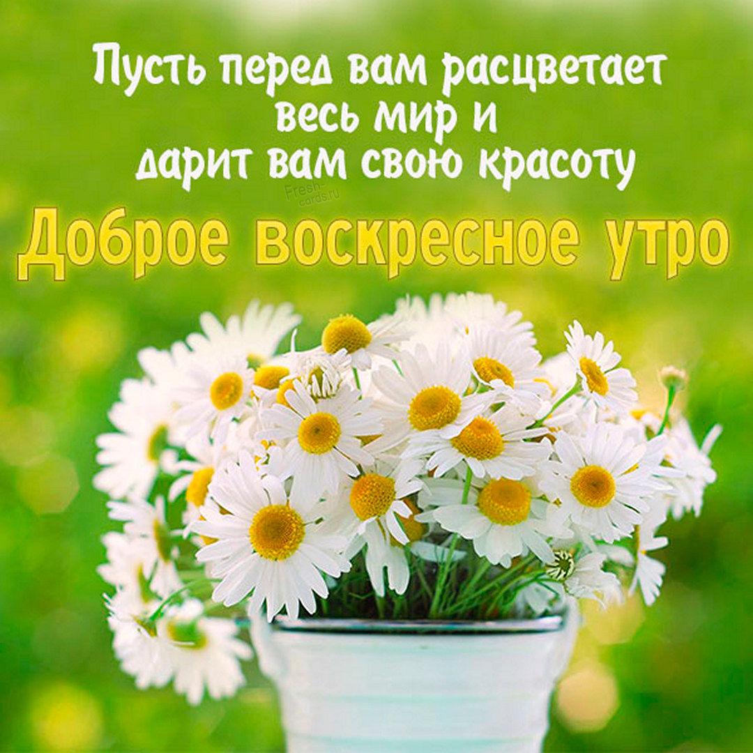 Хостинг картинок yapx.ruКартинка доброе воскресное утро!