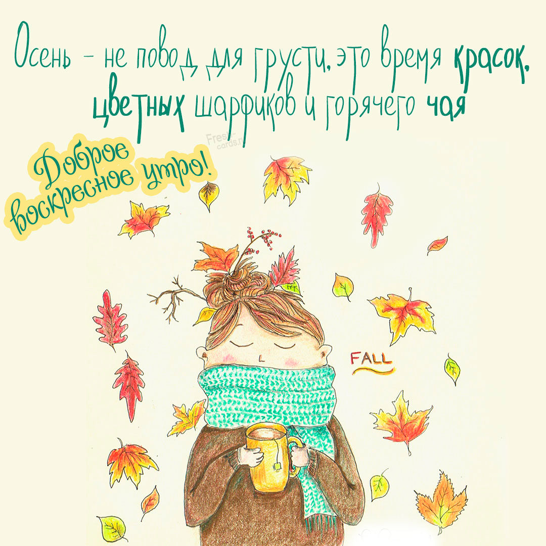 Хостинг картинок yapx.ru