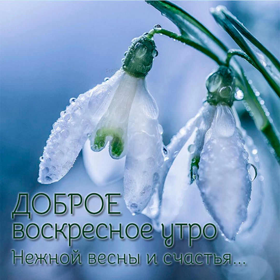 Хостинг картинок yapx.ru