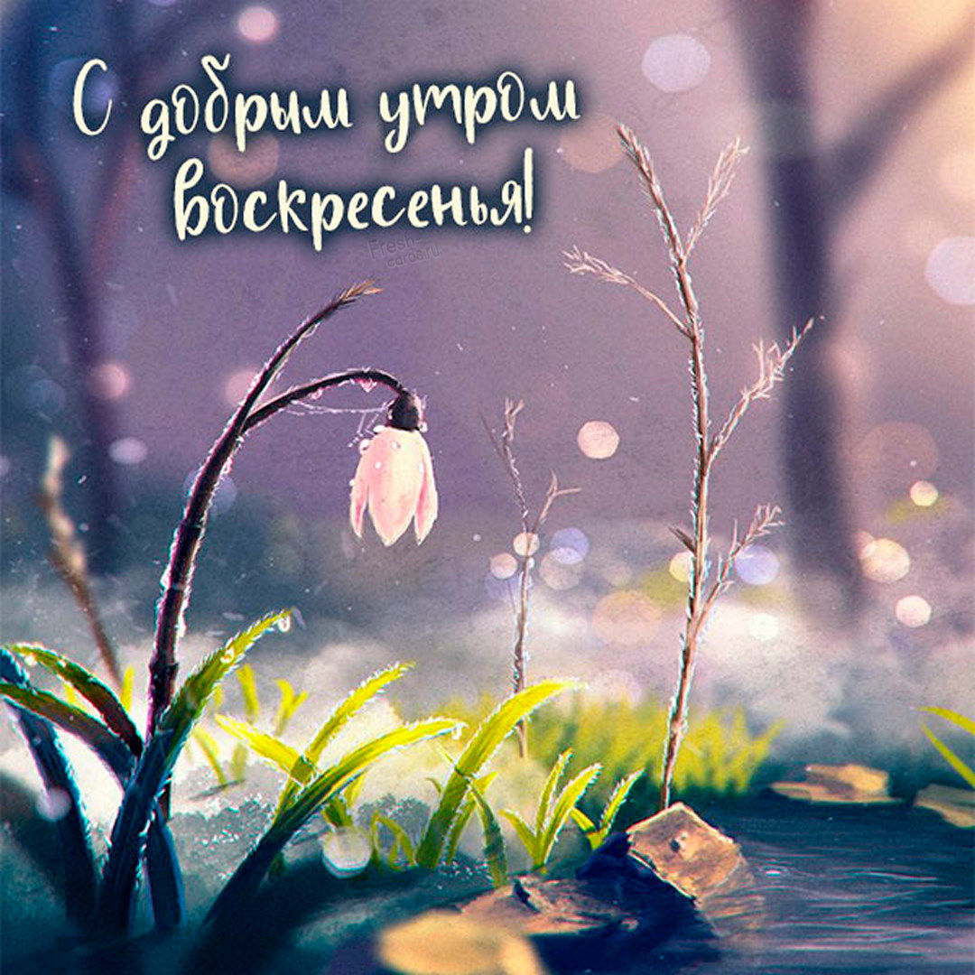 Хостинг картинок yapx.ru