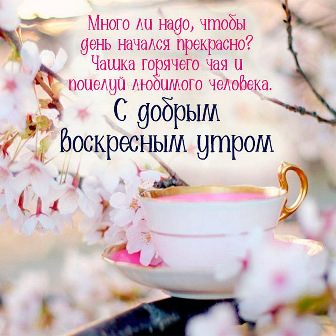 Хостинг картинок yapx.ru