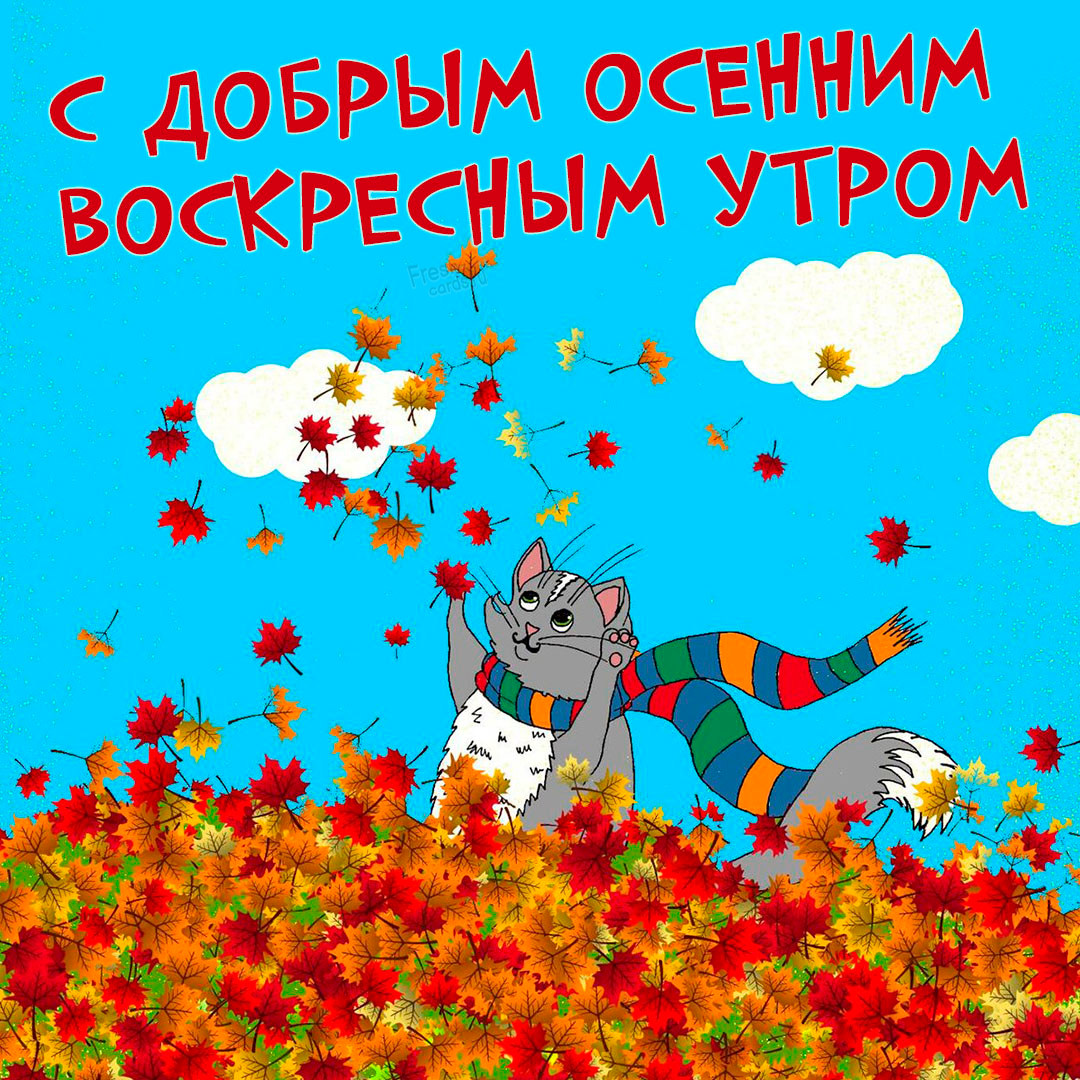 Хостинг картинок yapx.ru
