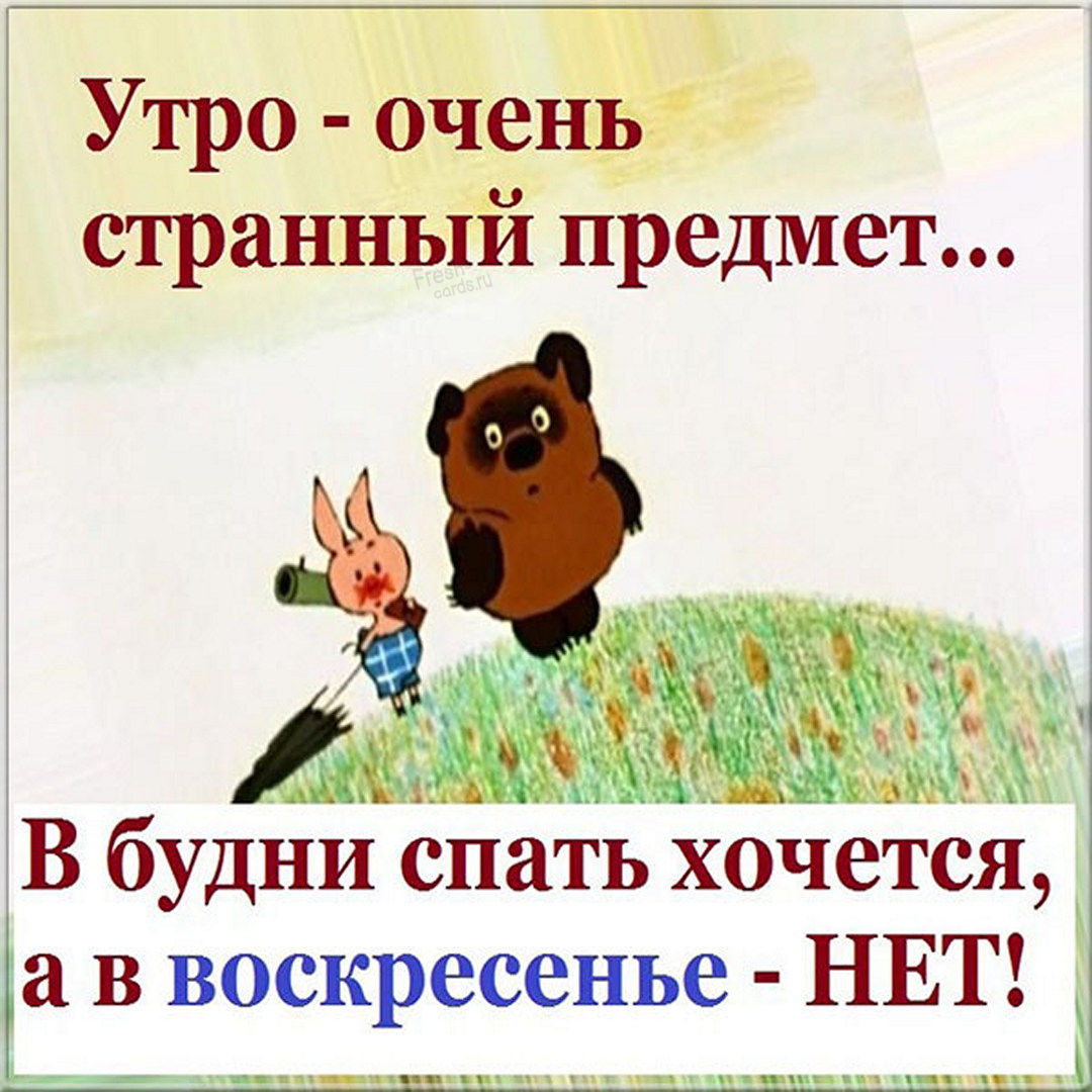 Хостинг картинок yapx.ru