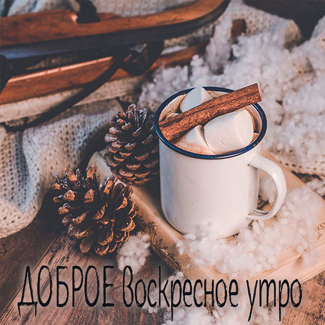 Хостинг картинок yapx.ru
