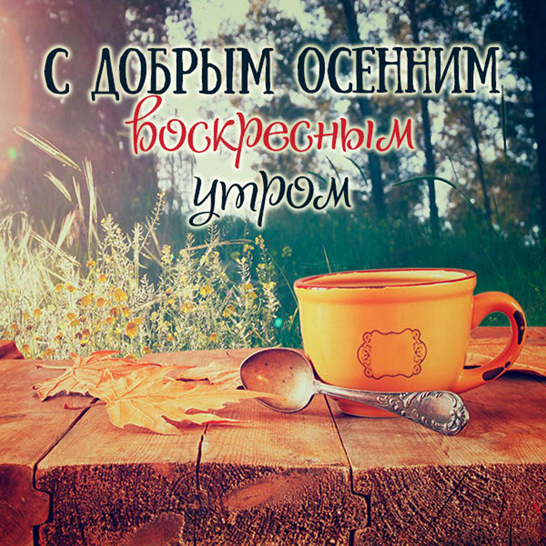 Хостинг картинок yapx.ru