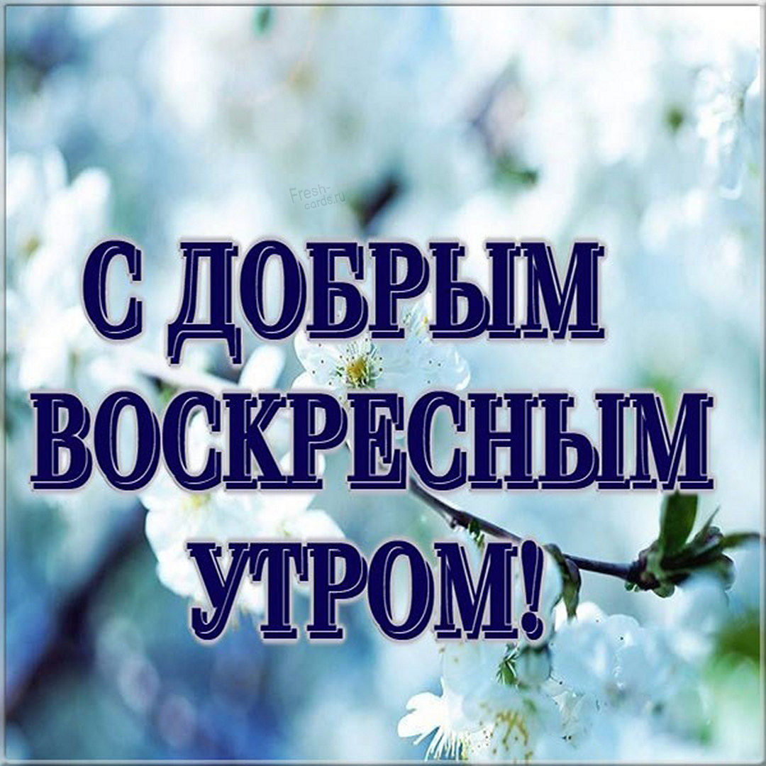 Хостинг картинок yapx.ru