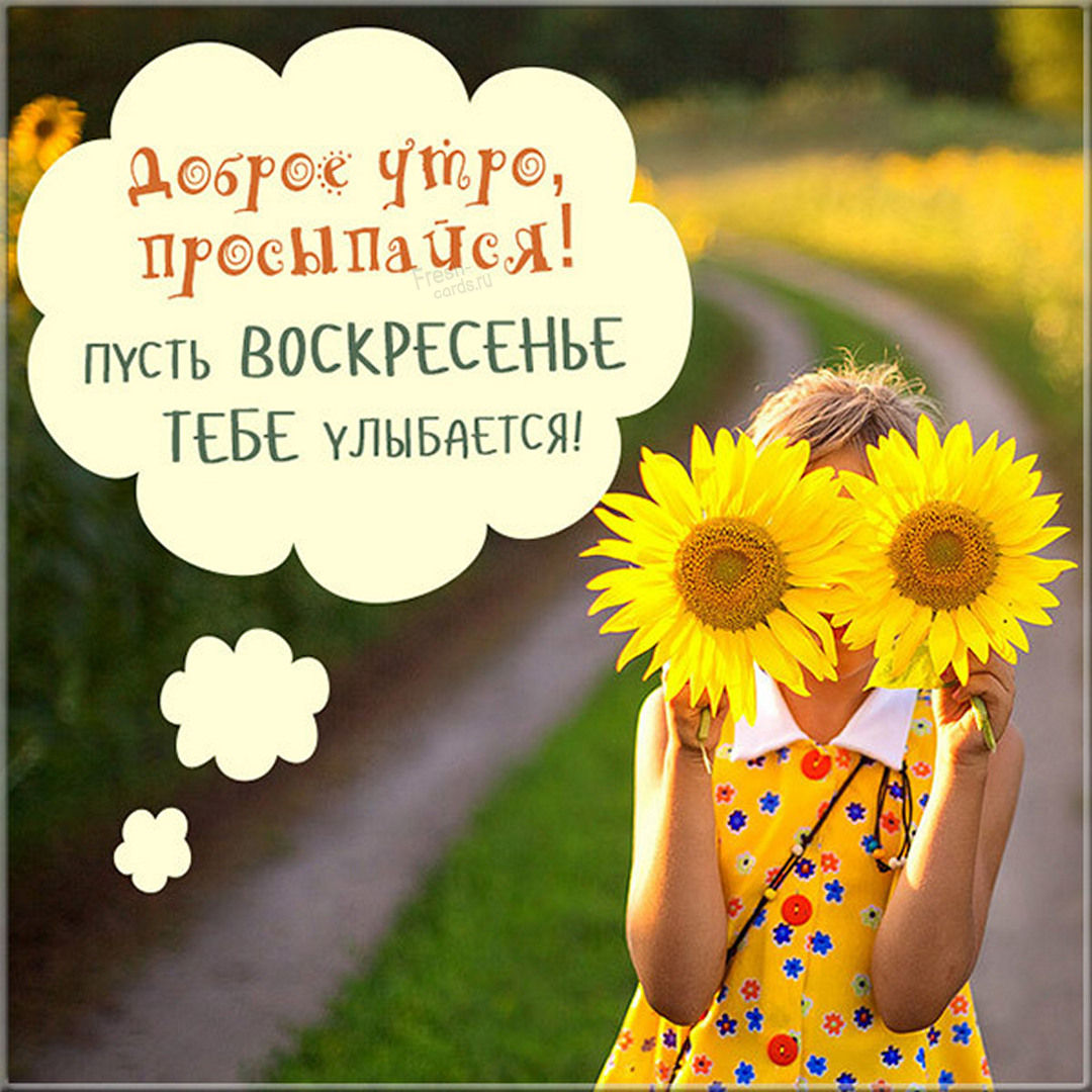 Хостинг картинок yapx.ru