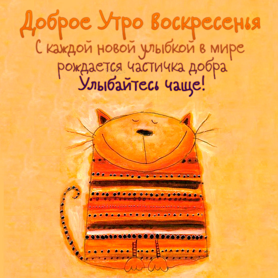 Хостинг картинок yapx.ru