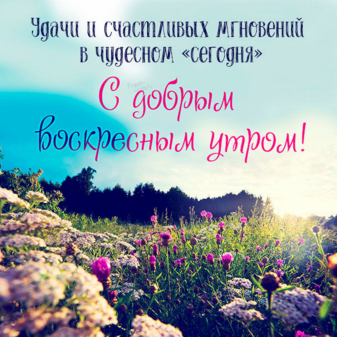 Хостинг картинок yapx.ru