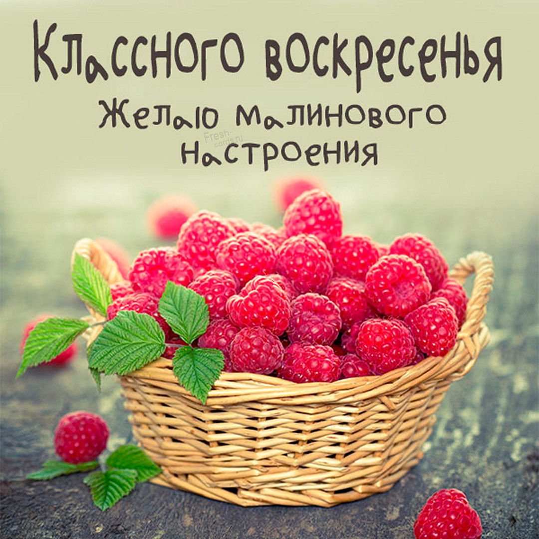 Хостинг картинок yapx.ru