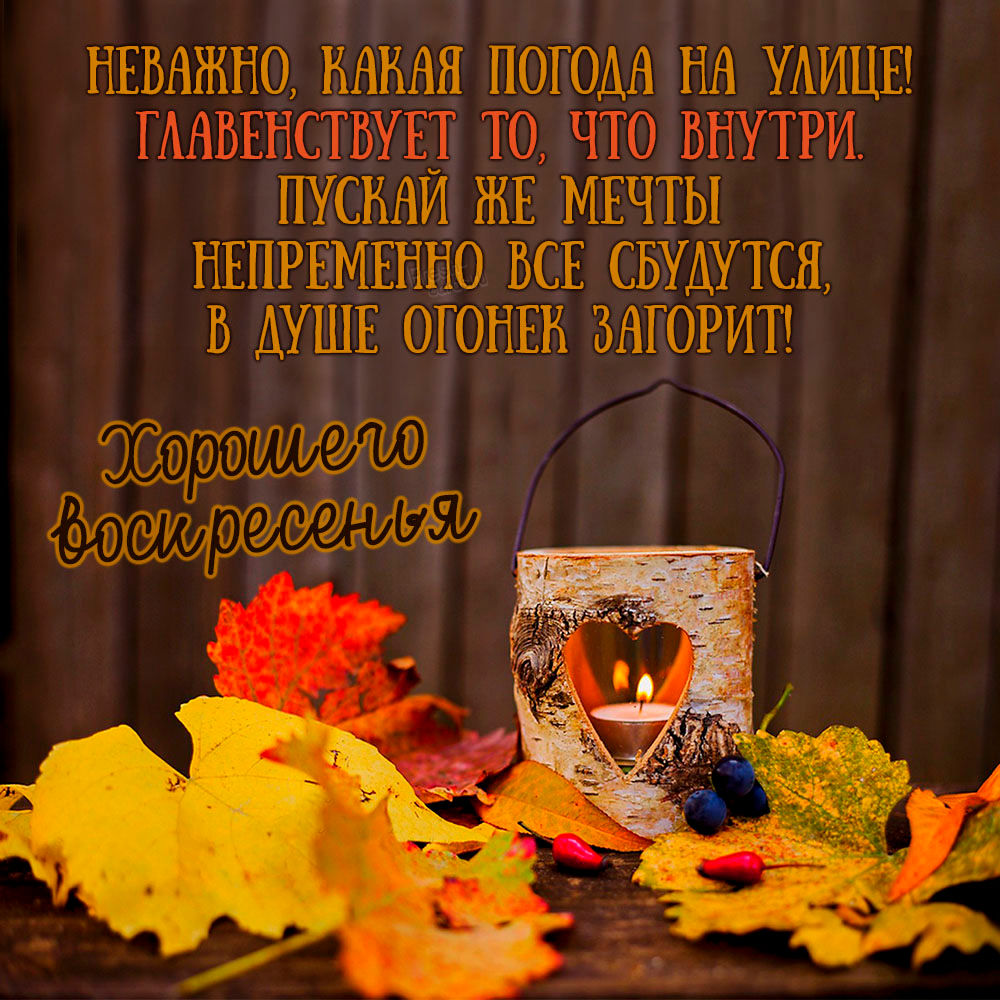 Хостинг картинок yapx.ru