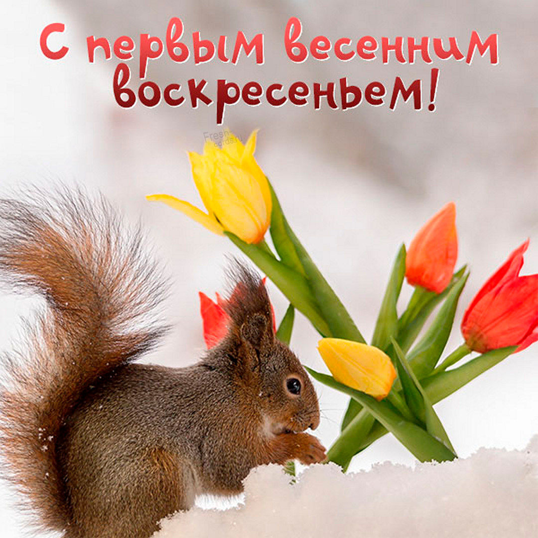 Хостинг картинок yapx.ru
