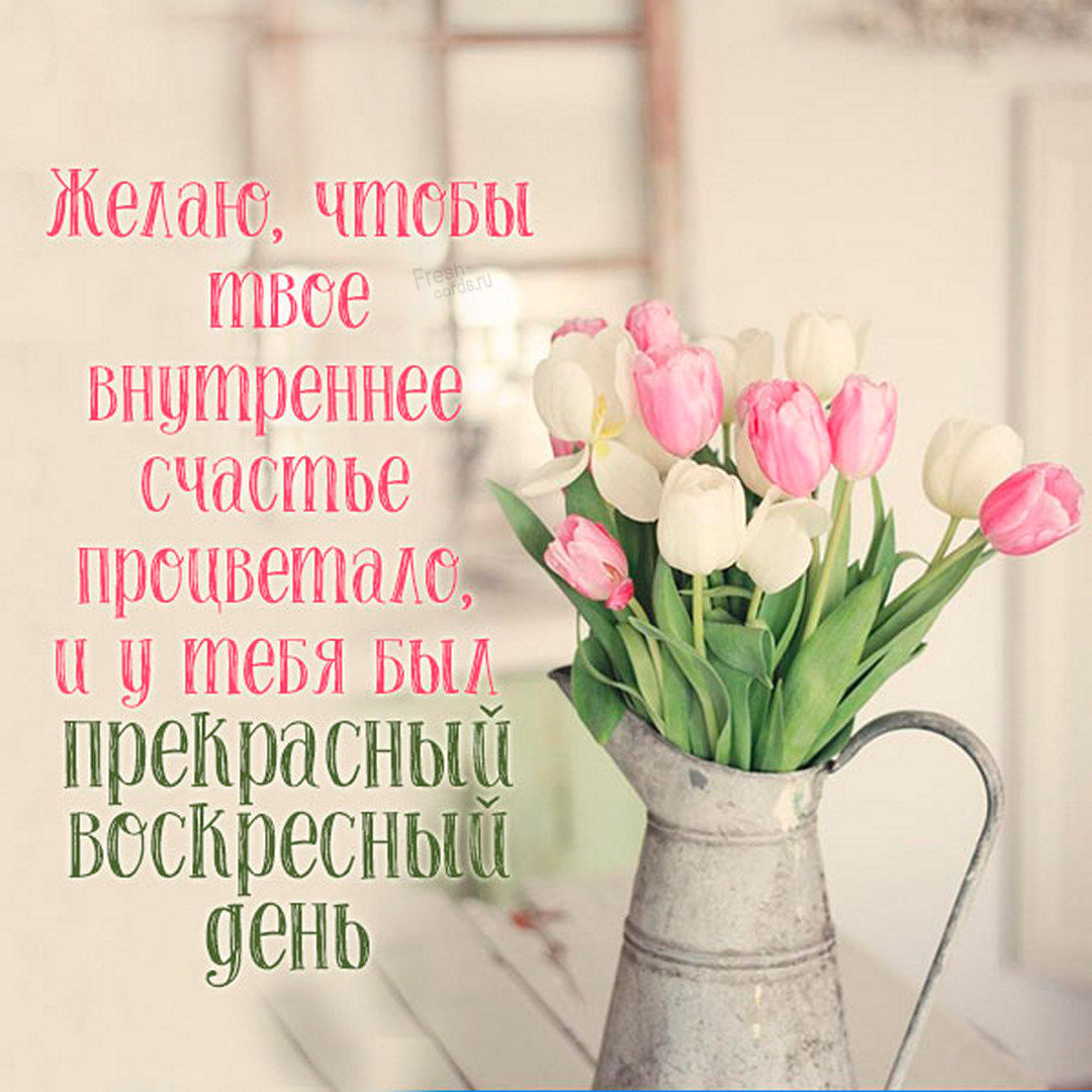 Хостинг картинок yapx.ru