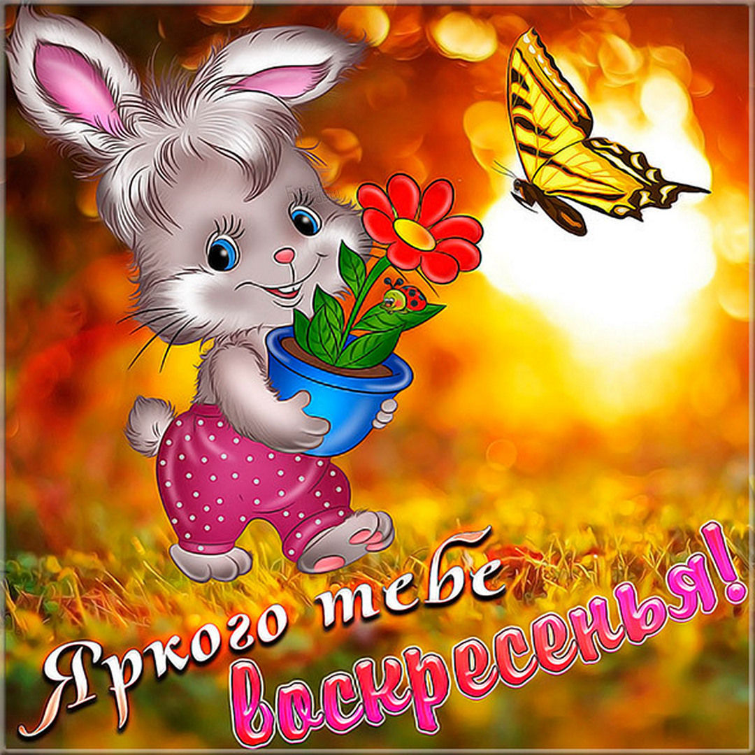 Хостинг картинок yapx.ru