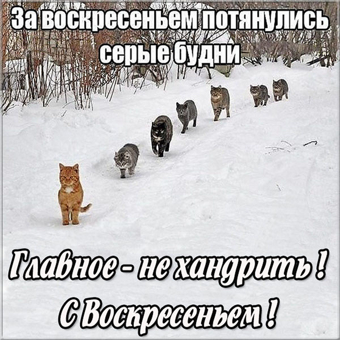 Хостинг картинок yapx.ru