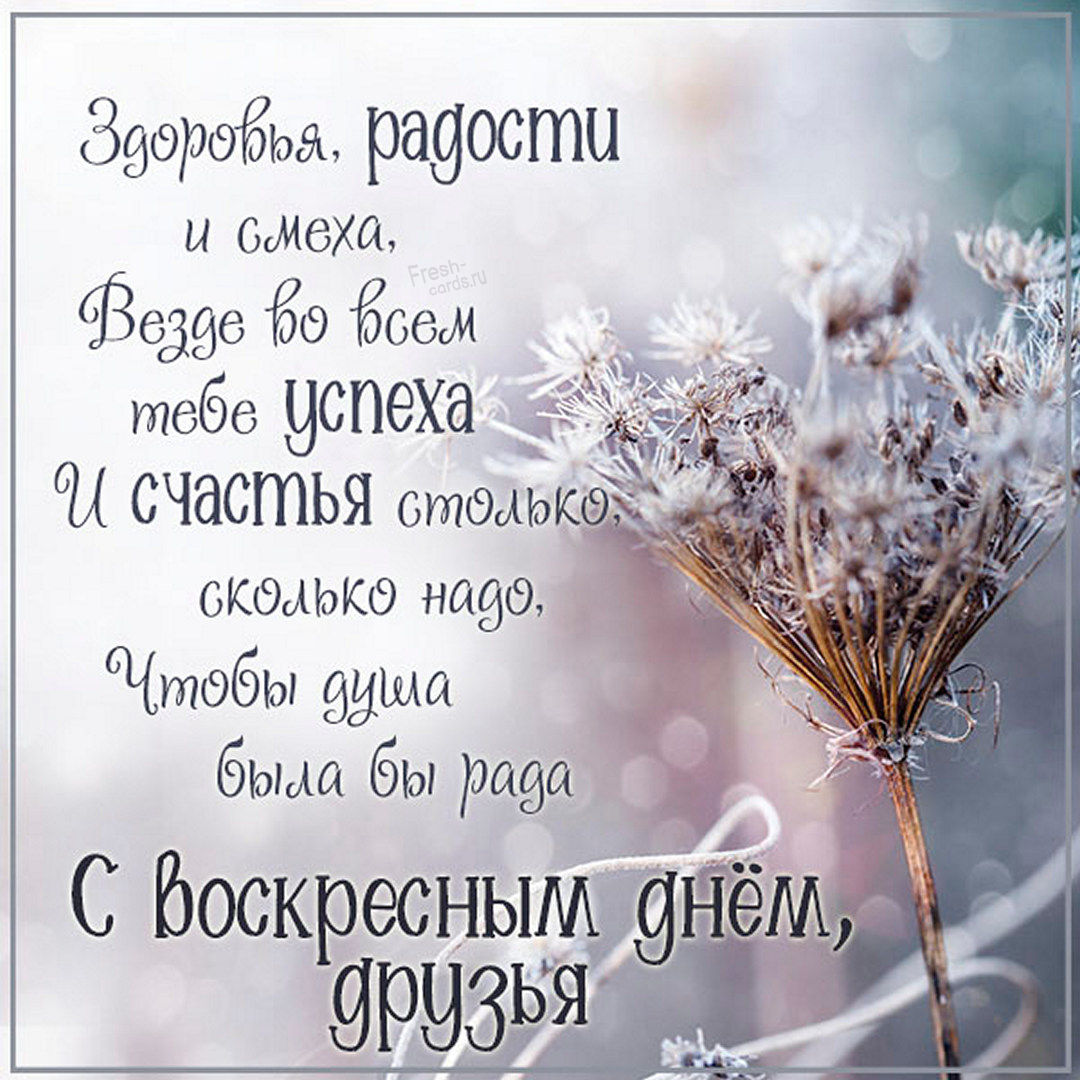 Хостинг картинок yapx.ru