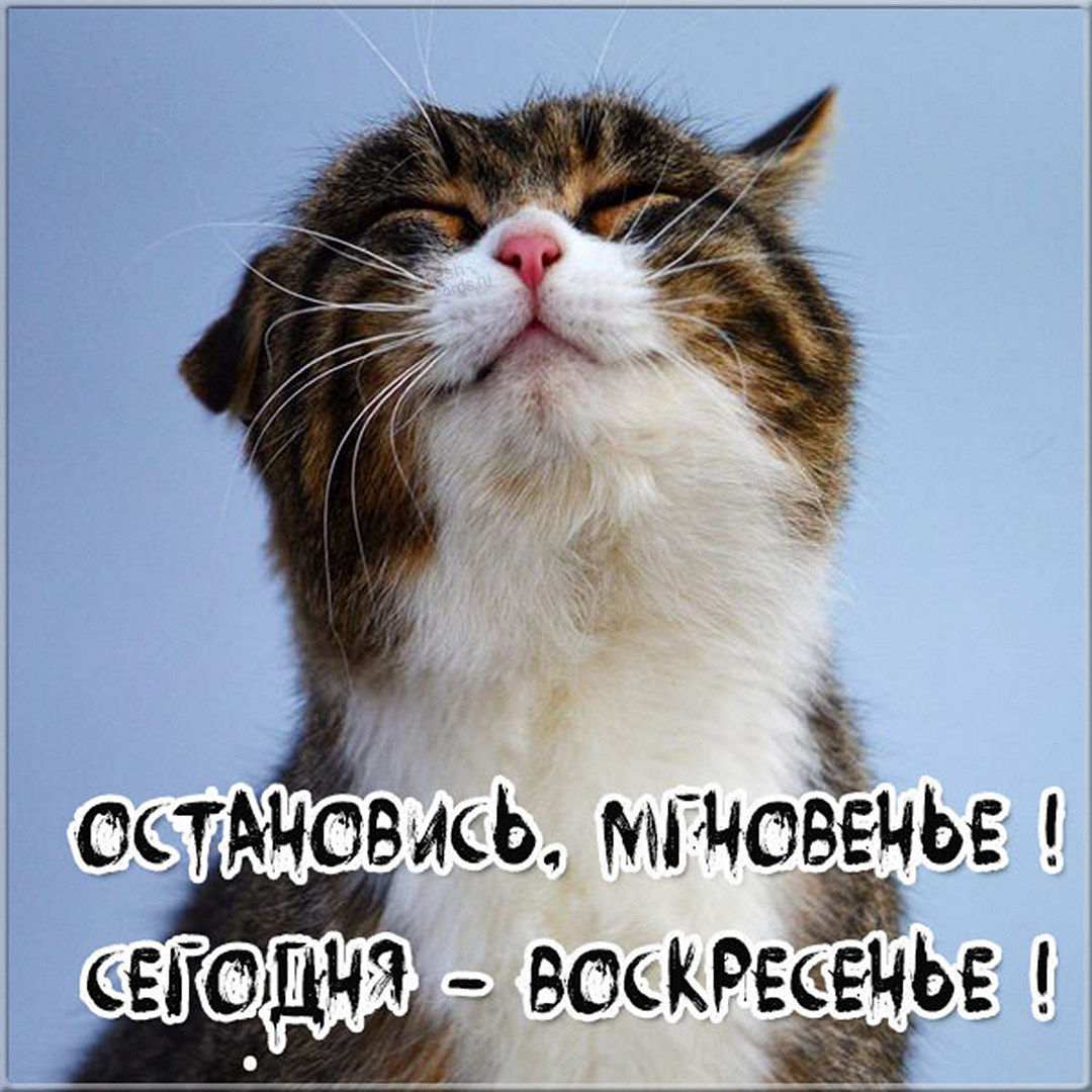 Хостинг картинок yapx.ru