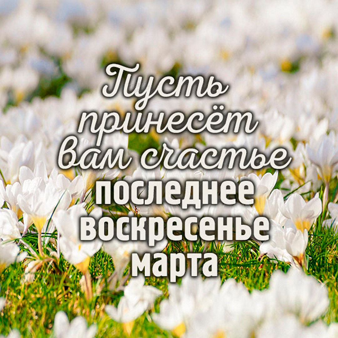 Хостинг картинок yapx.ru