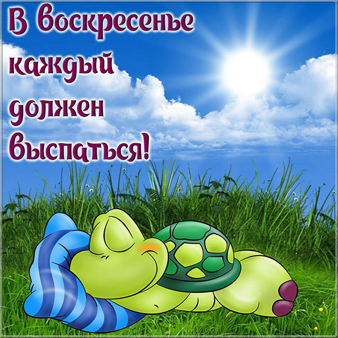 Хостинг картинок yapx.ru