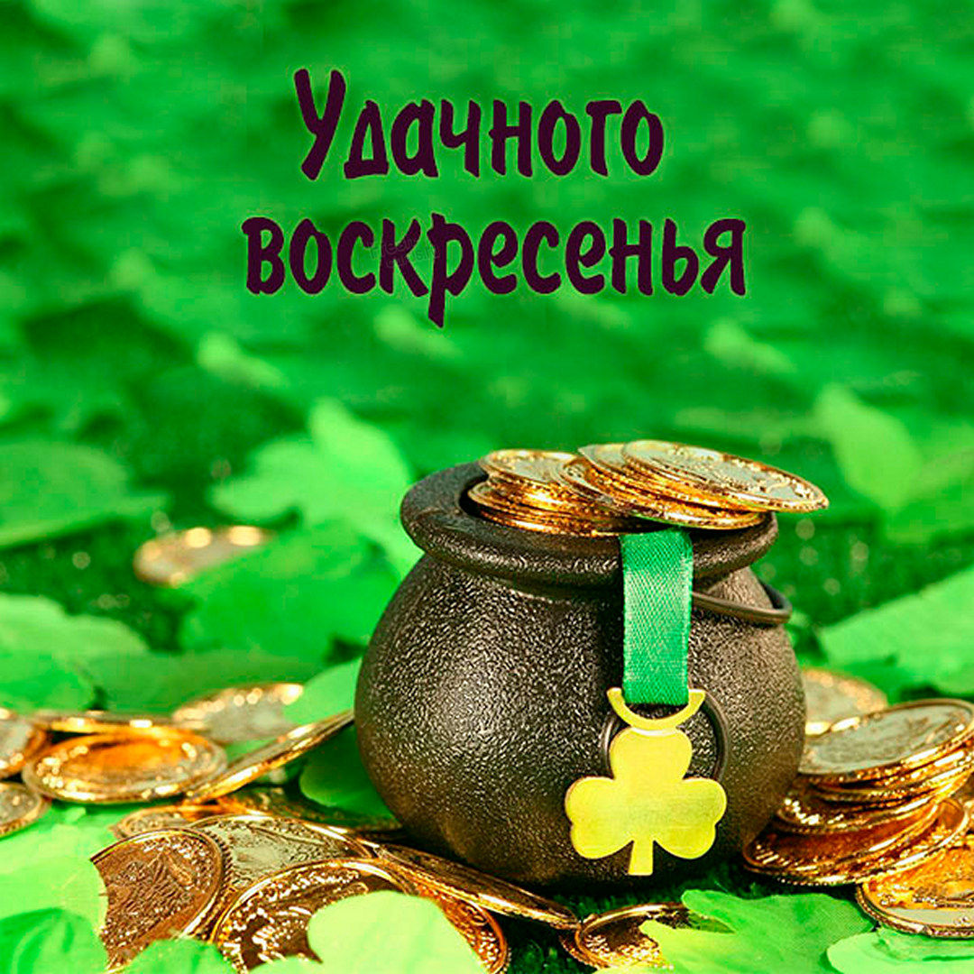 Хостинг картинок yapx.ru