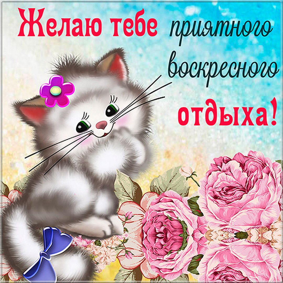 Хостинг картинок yapx.ru