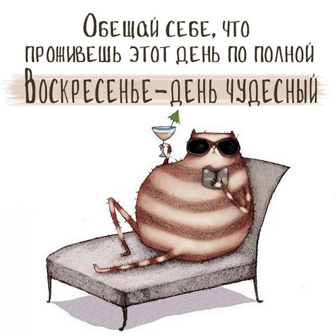 Хостинг картинок yapx.ru