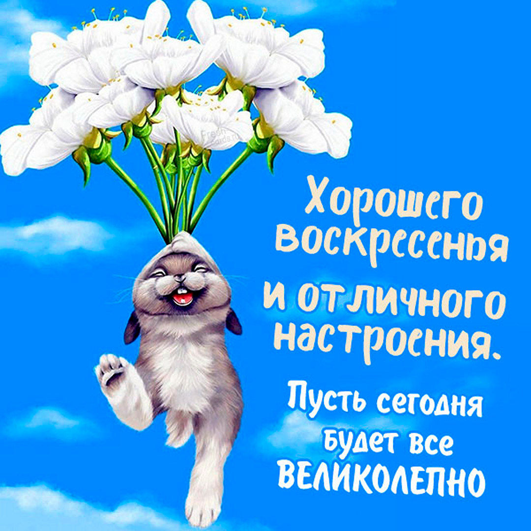 Хостинг картинок yapx.ru