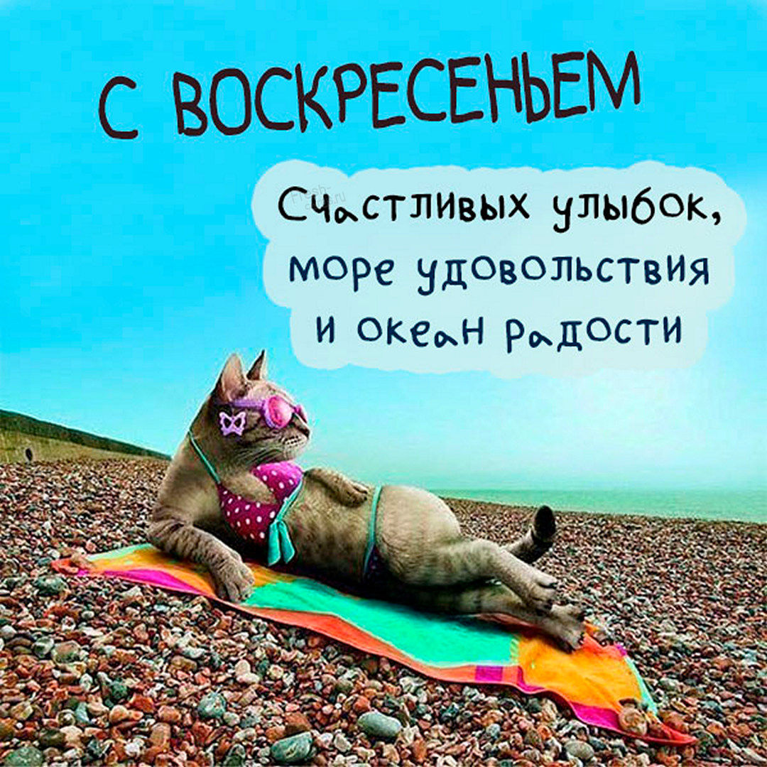 Хостинг картинок yapx.ru