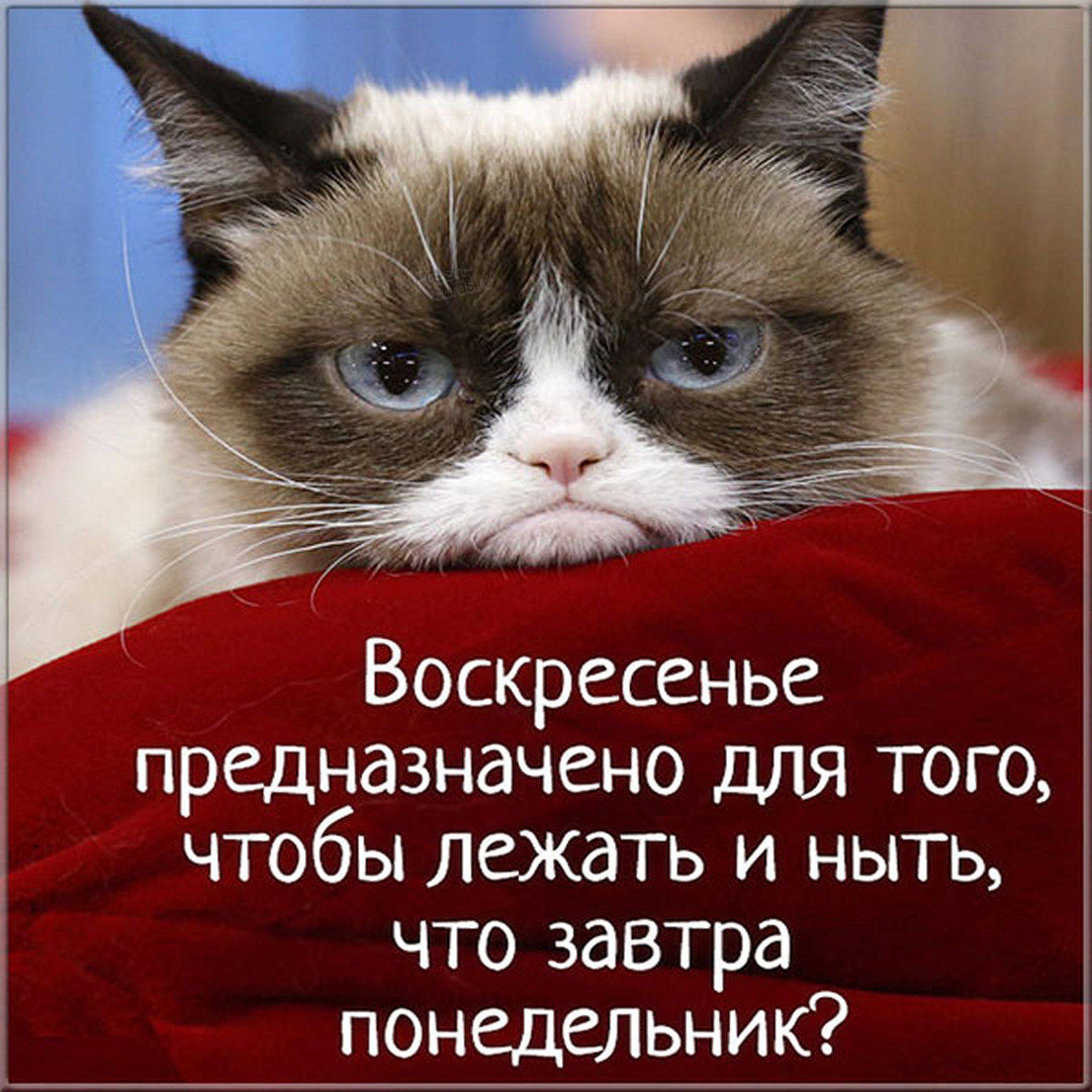 Хостинг картинок yapx.ru