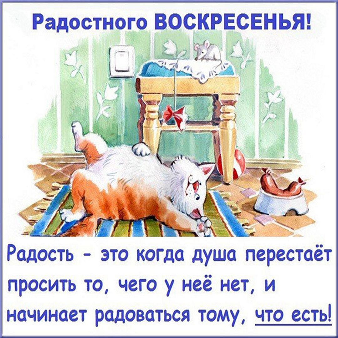 Хостинг картинок yapx.ru