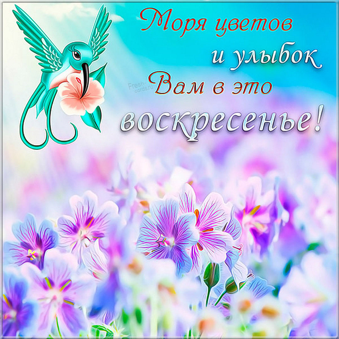 Хостинг картинок yapx.ru