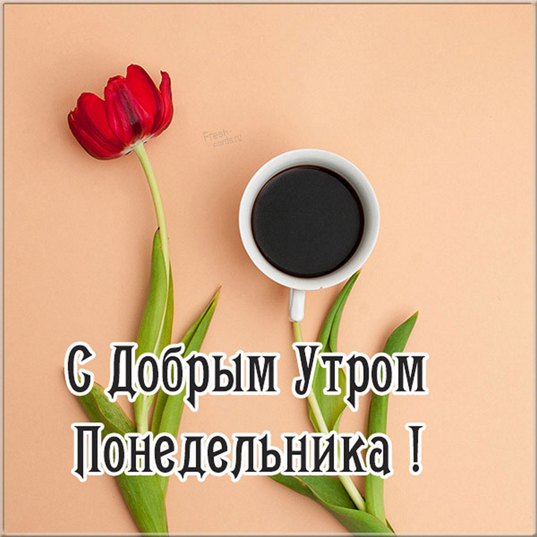 Хостинг картинок yapx.ru