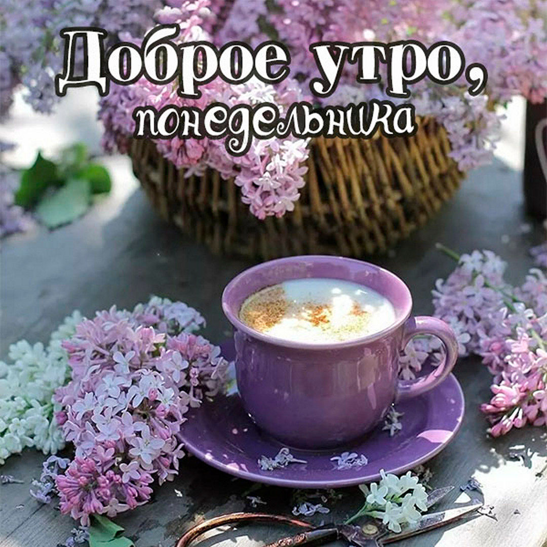Хостинг картинок yapx.ru