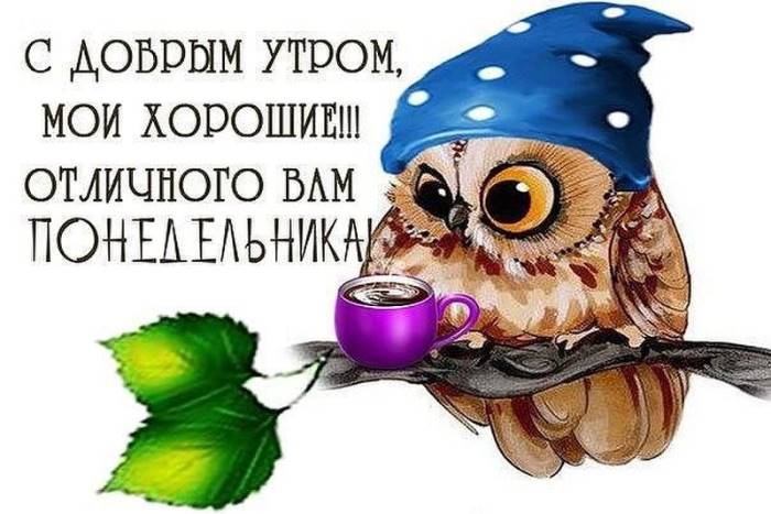 Хостинг картинок yapx.ru