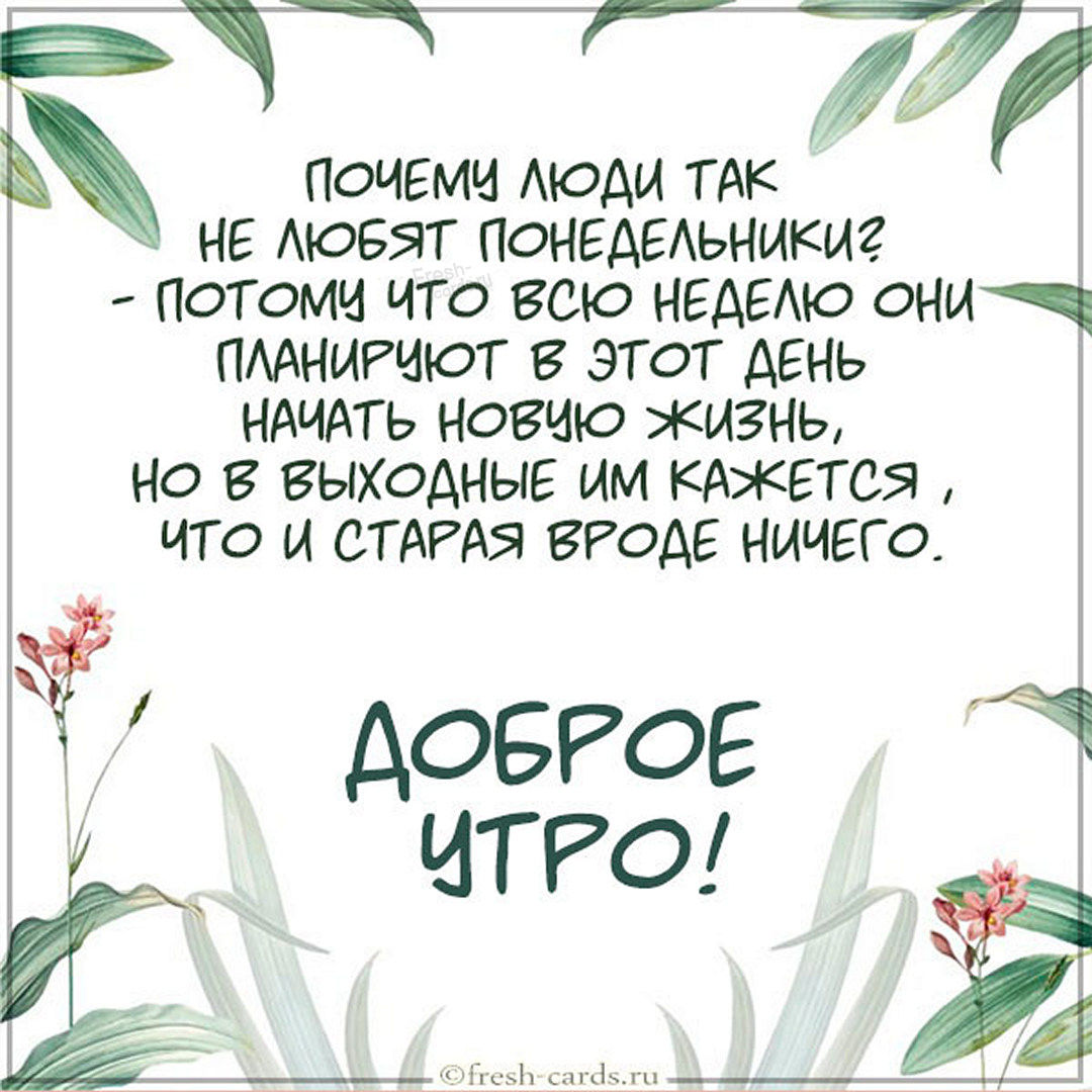 Хостинг картинок yapx.ru