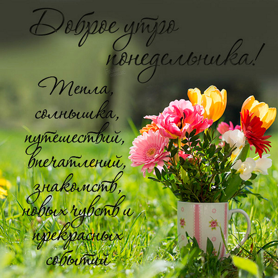 Хостинг картинок yapx.ru