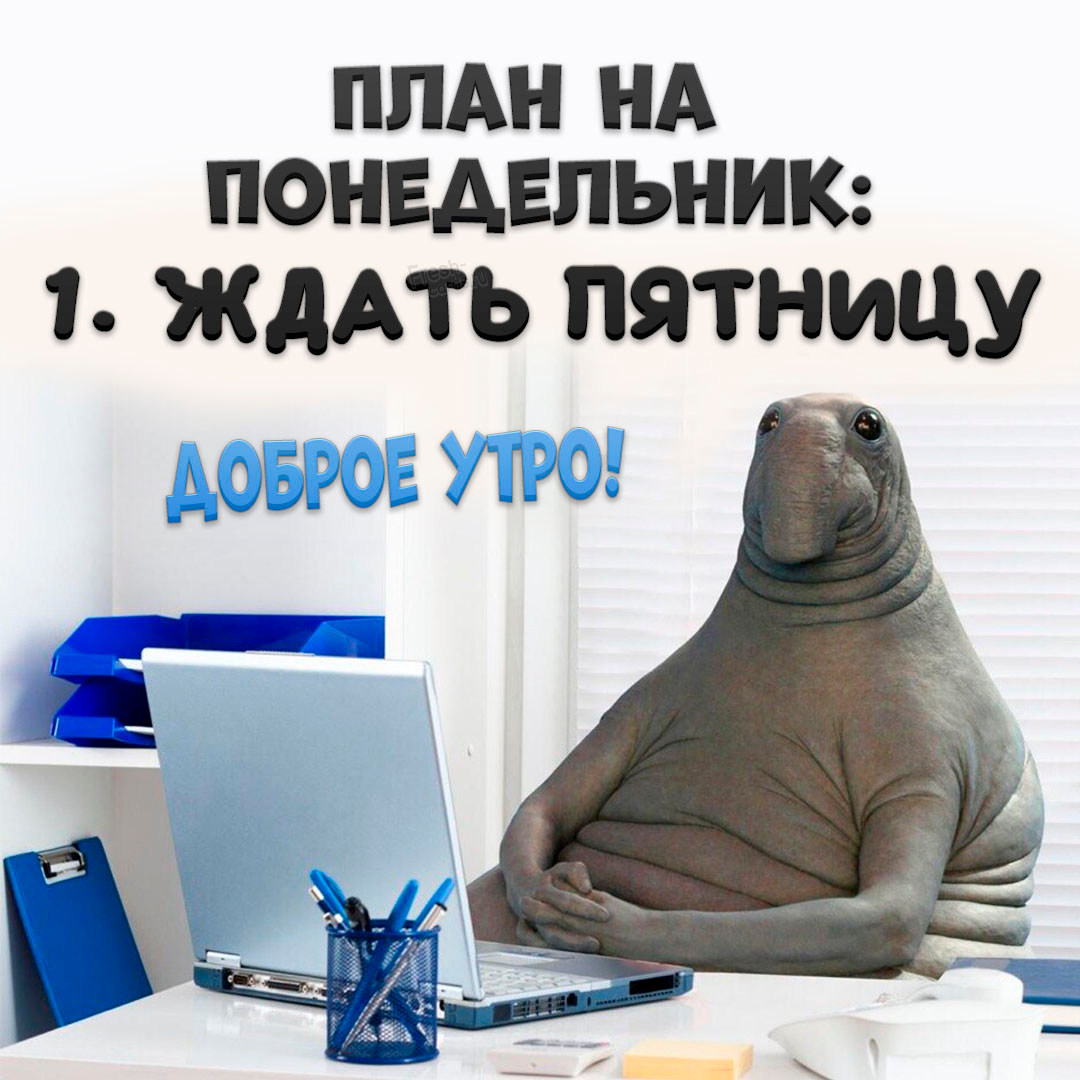 Хостинг картинок yapx.ruСмешная картинка с пожеланием доброго утра понедельника!