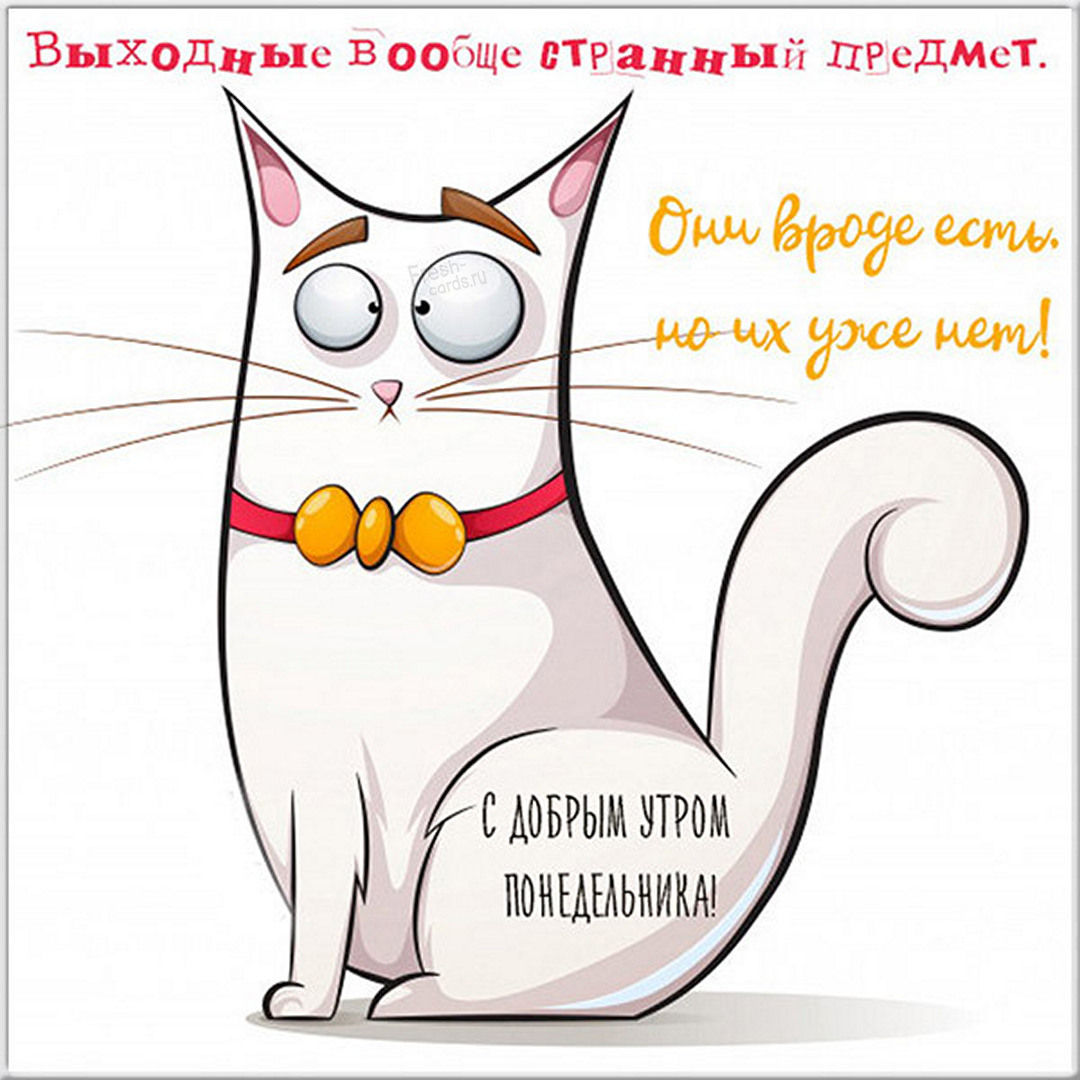 Хостинг картинок yapx.ru