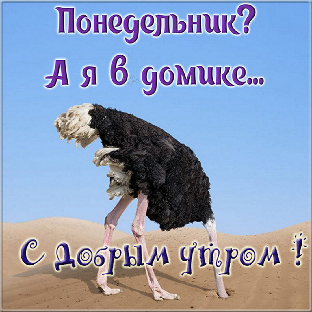 Хостинг картинок yapx.ru