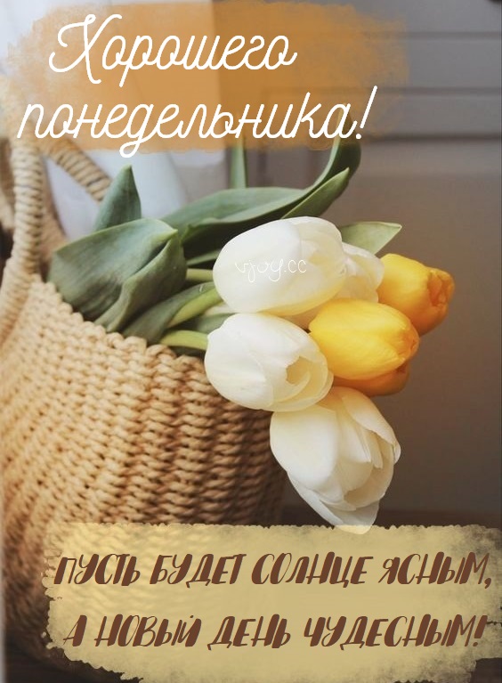 Хостинг картинок yapx.ru