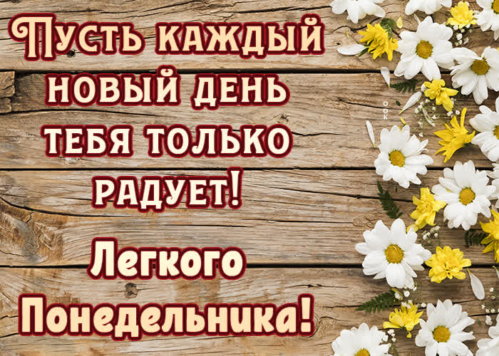 Хостинг картинок yapx.ru
