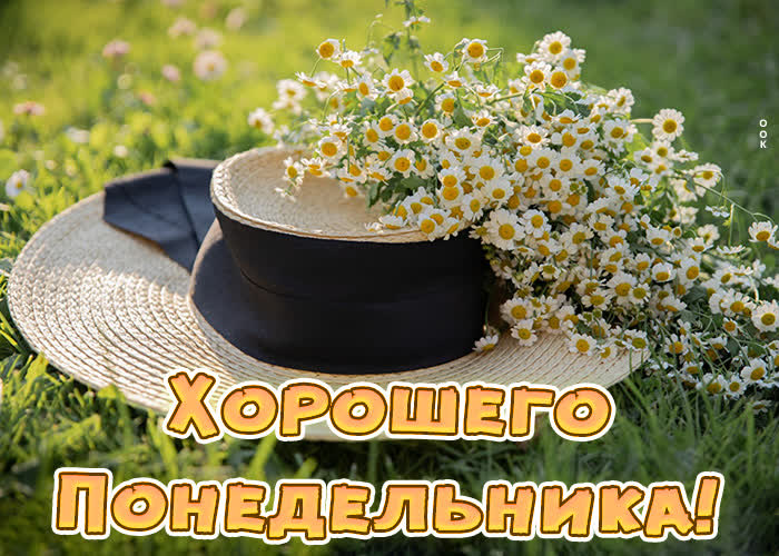 Хостинг картинок yapx.ru