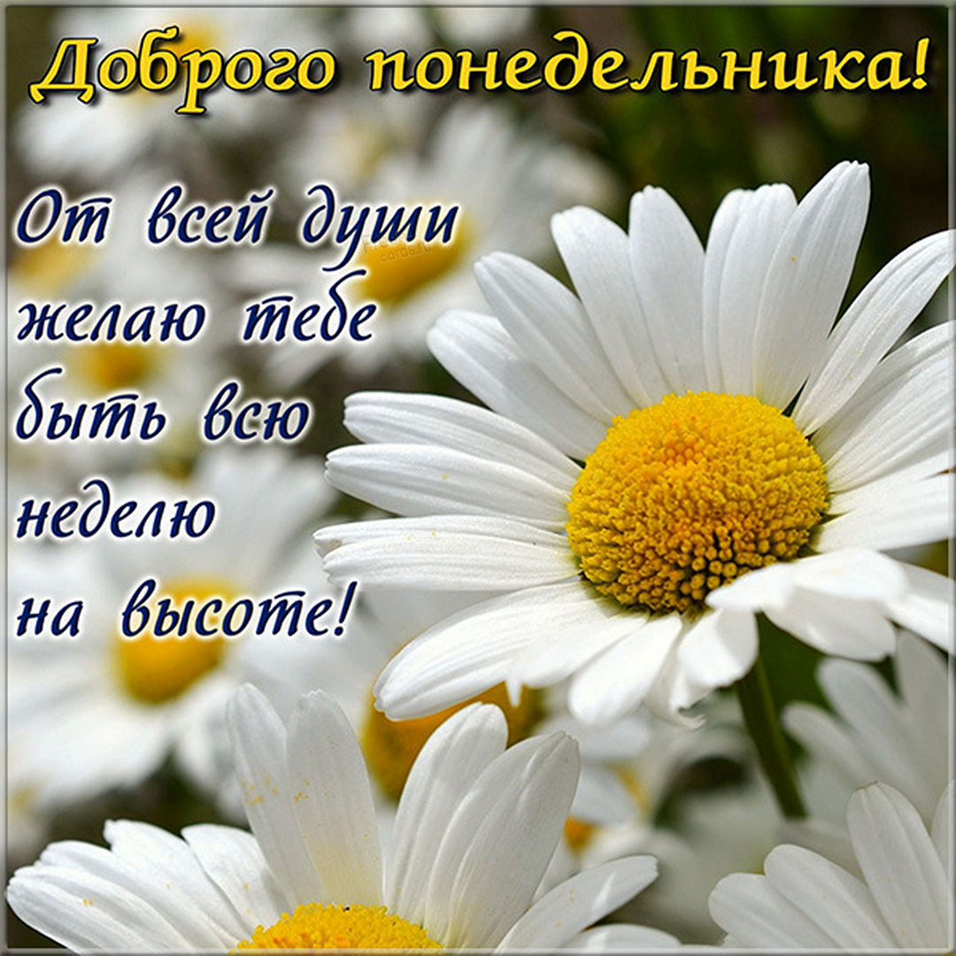 Хостинг картинок yapx.ru