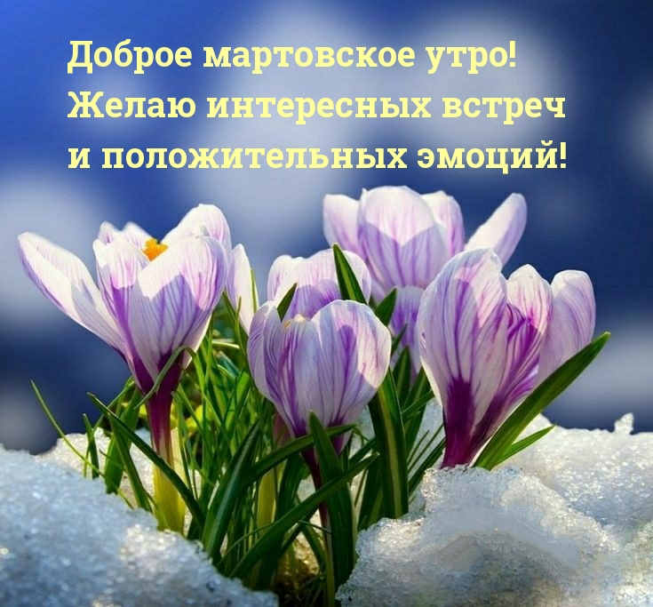 Хостинг картинок yapx.ru