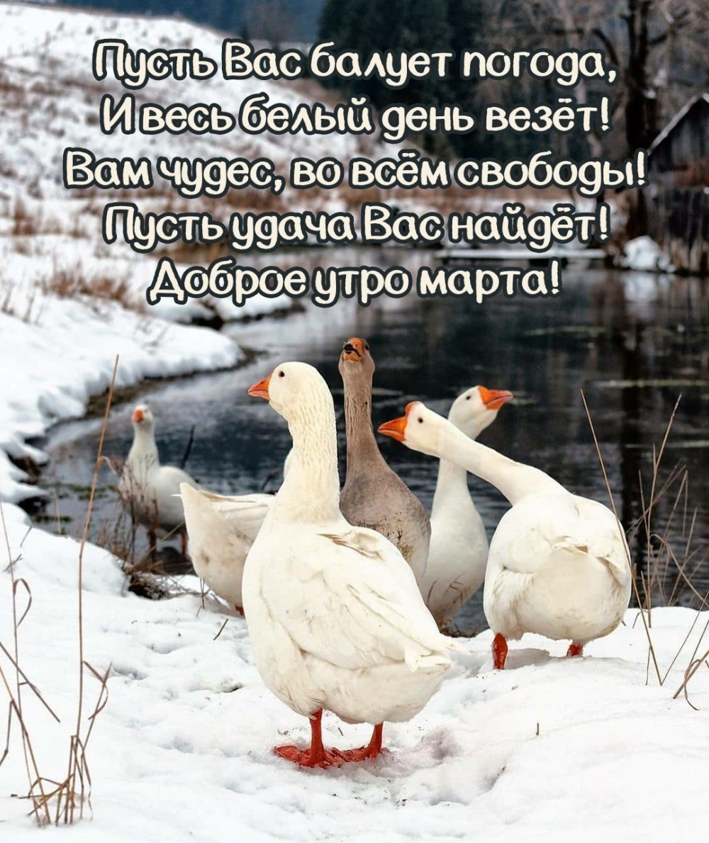 Хостинг картинок yapx.ru